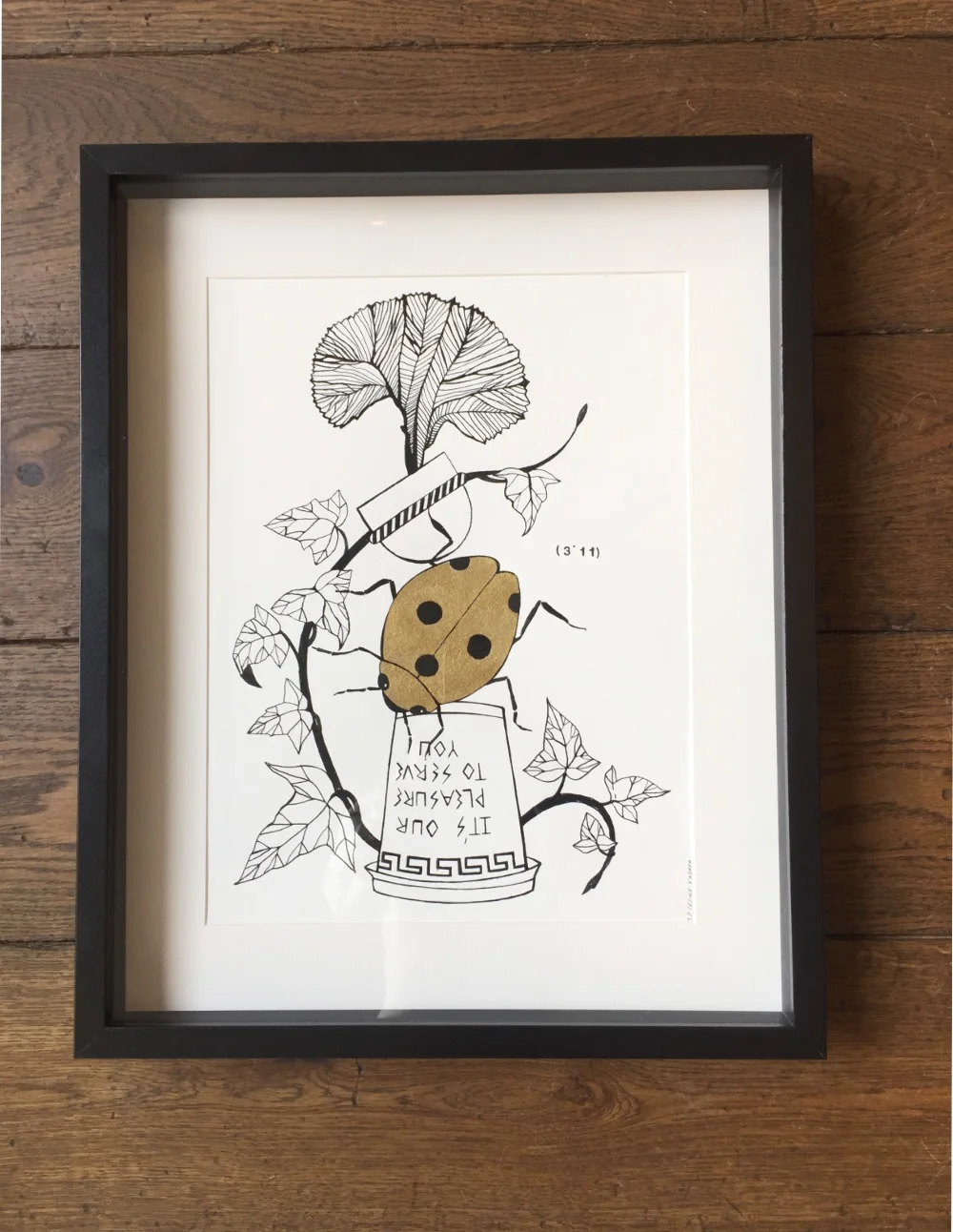 Coccinelle2.jpg