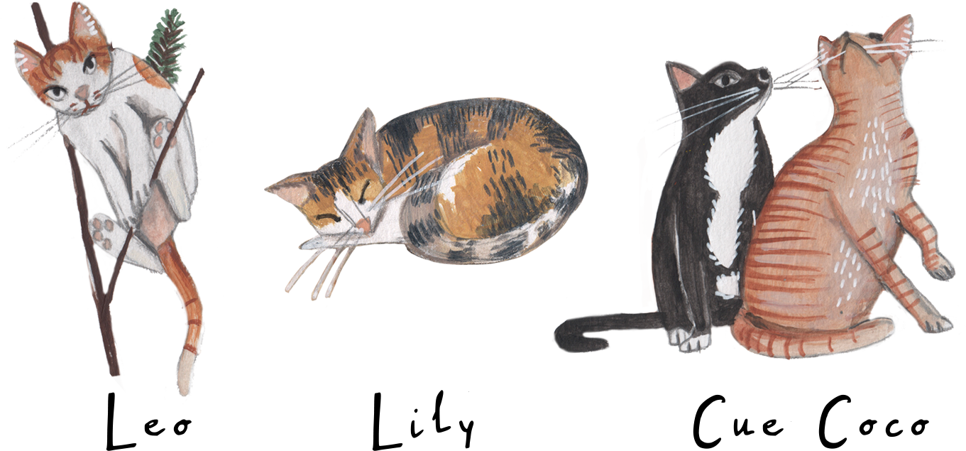 864_4 cats.png