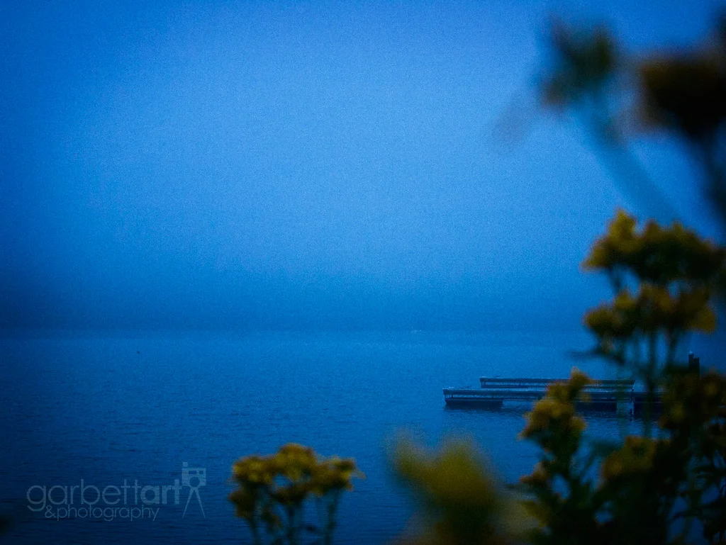 Lakefront Fog