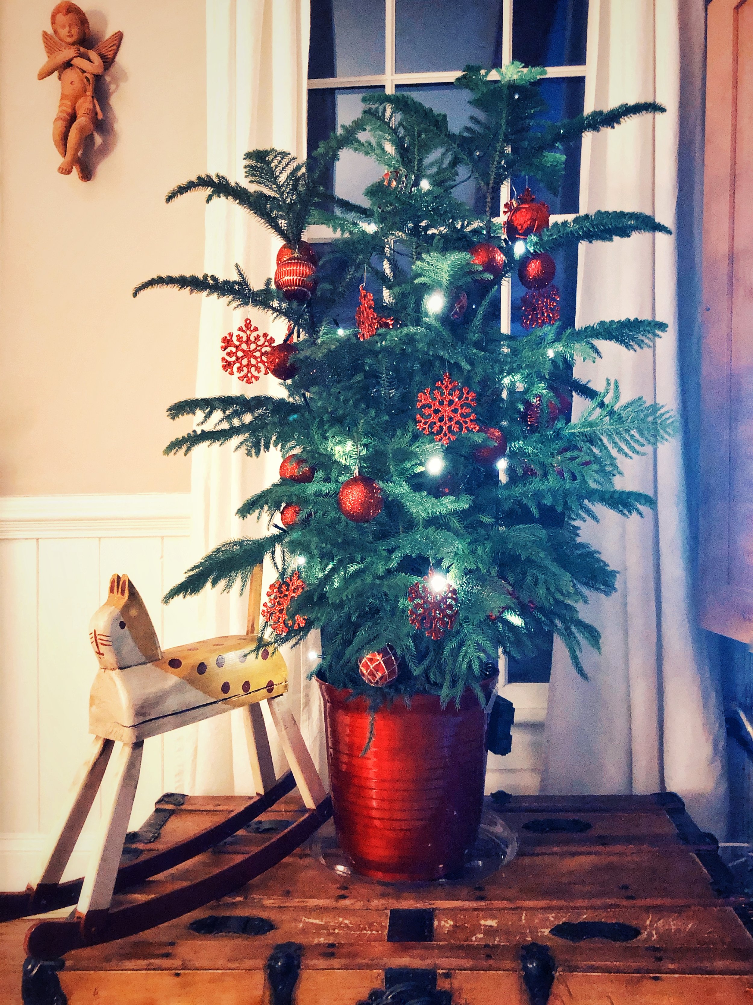 Heidi’s first Christmas.