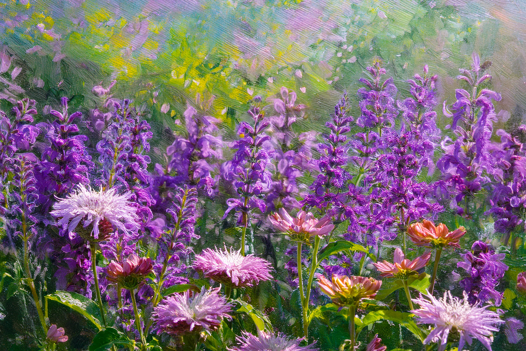 Background image.png