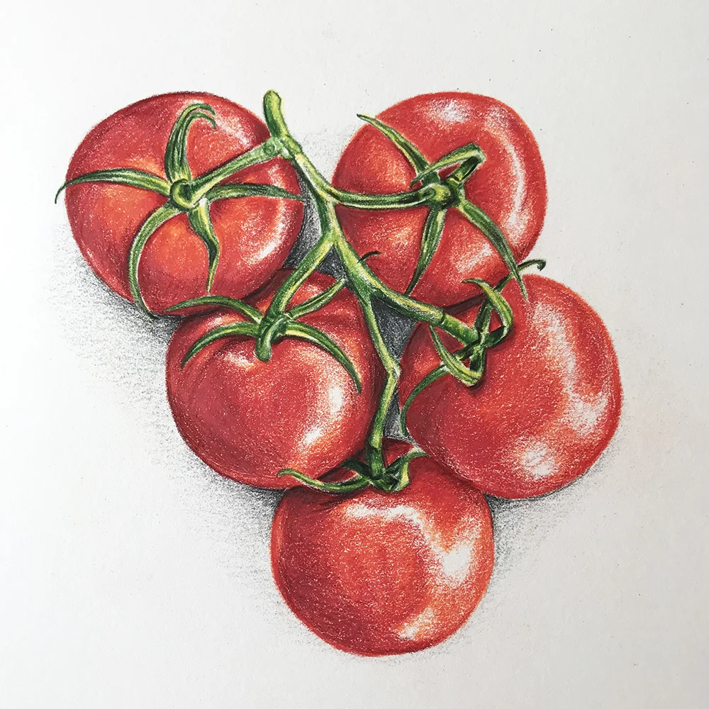 tomatoes.jpg