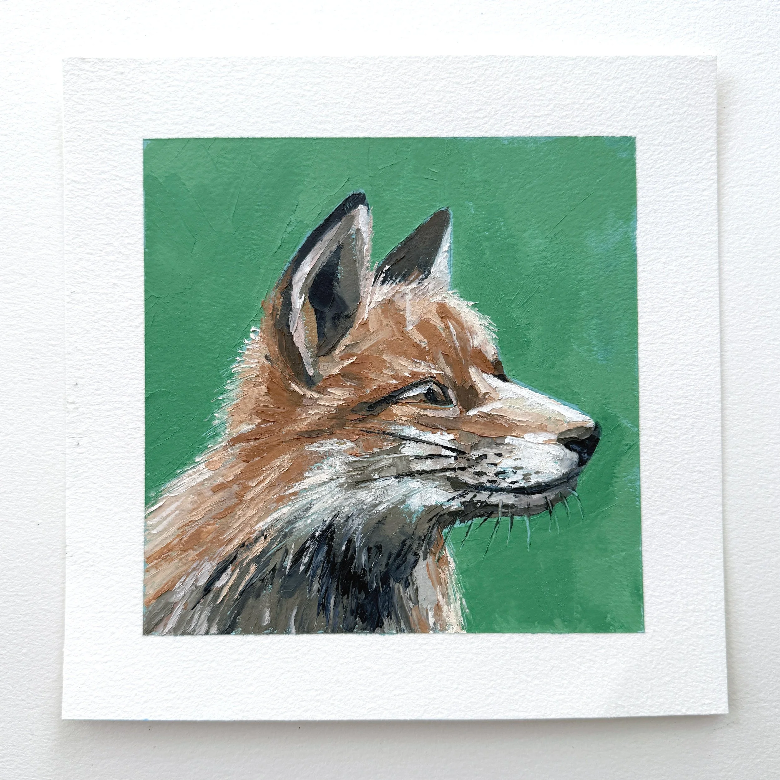 Fox.jpg
