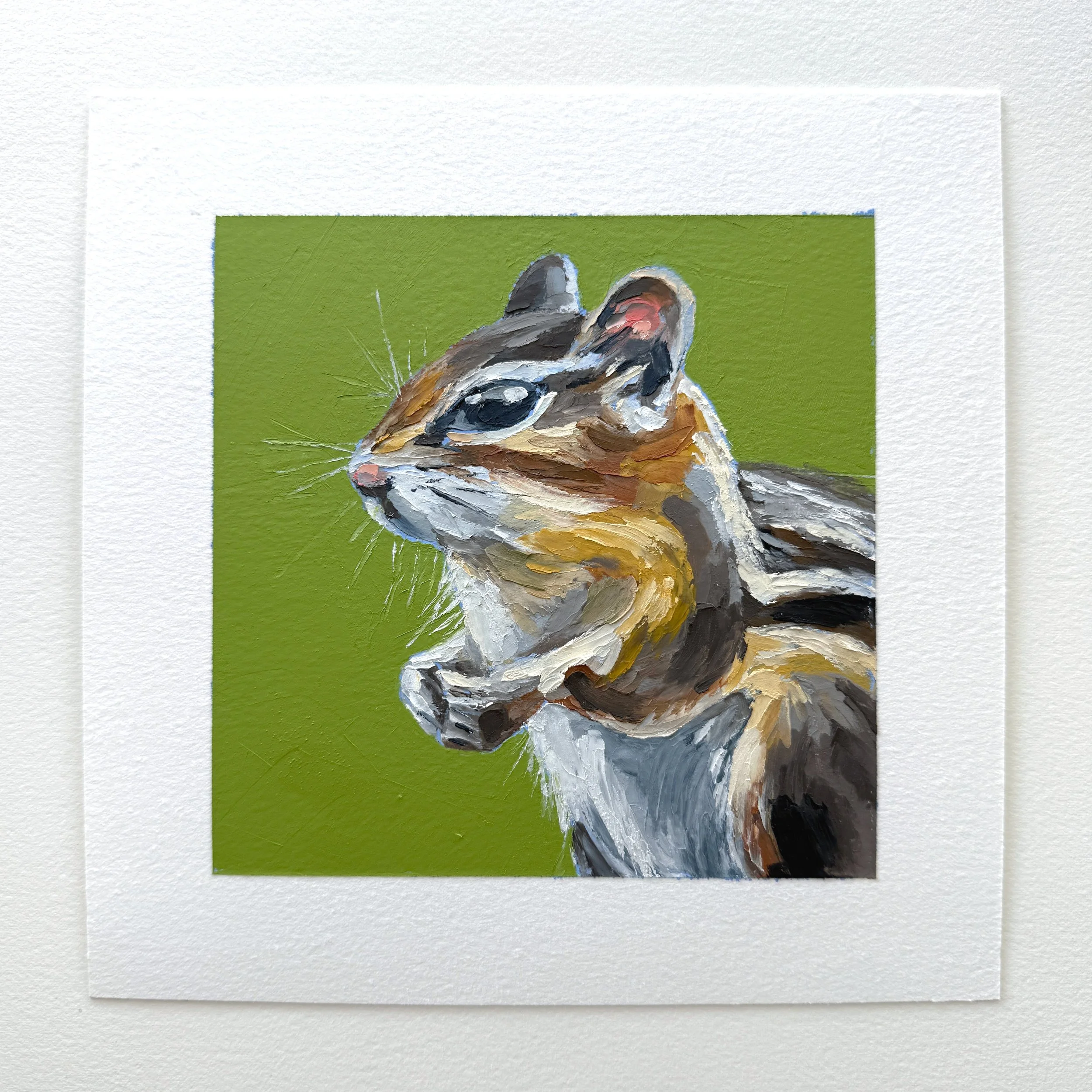 Chipmunk.jpg
