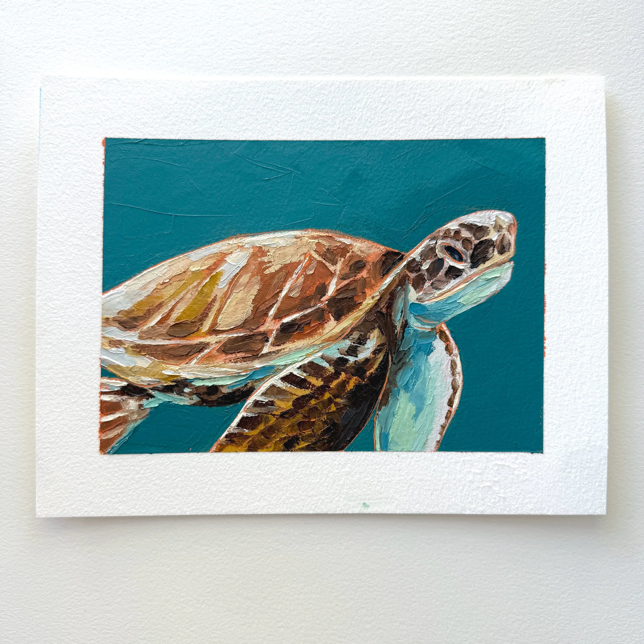 Sea Turtle