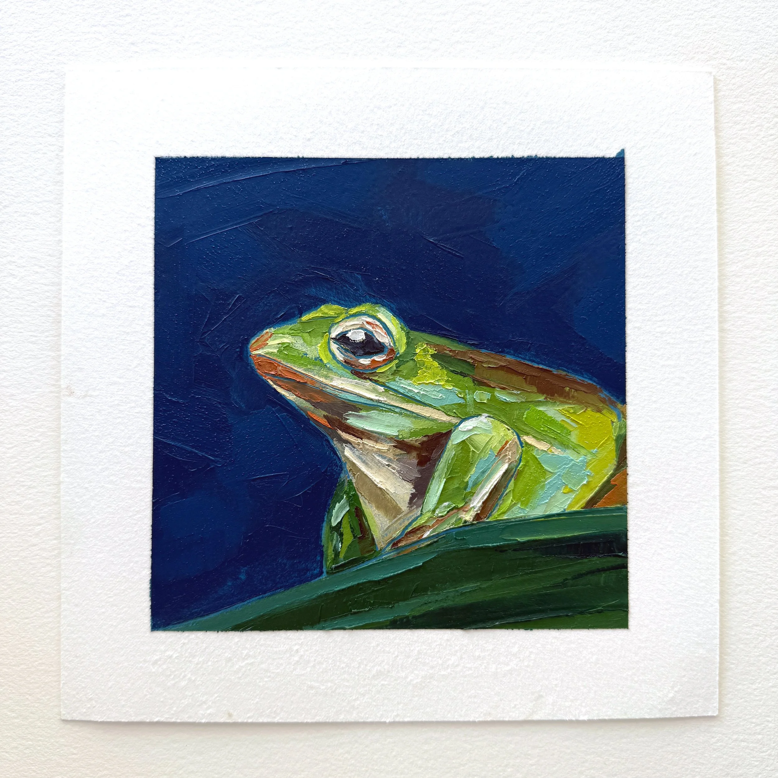 Frog.jpg