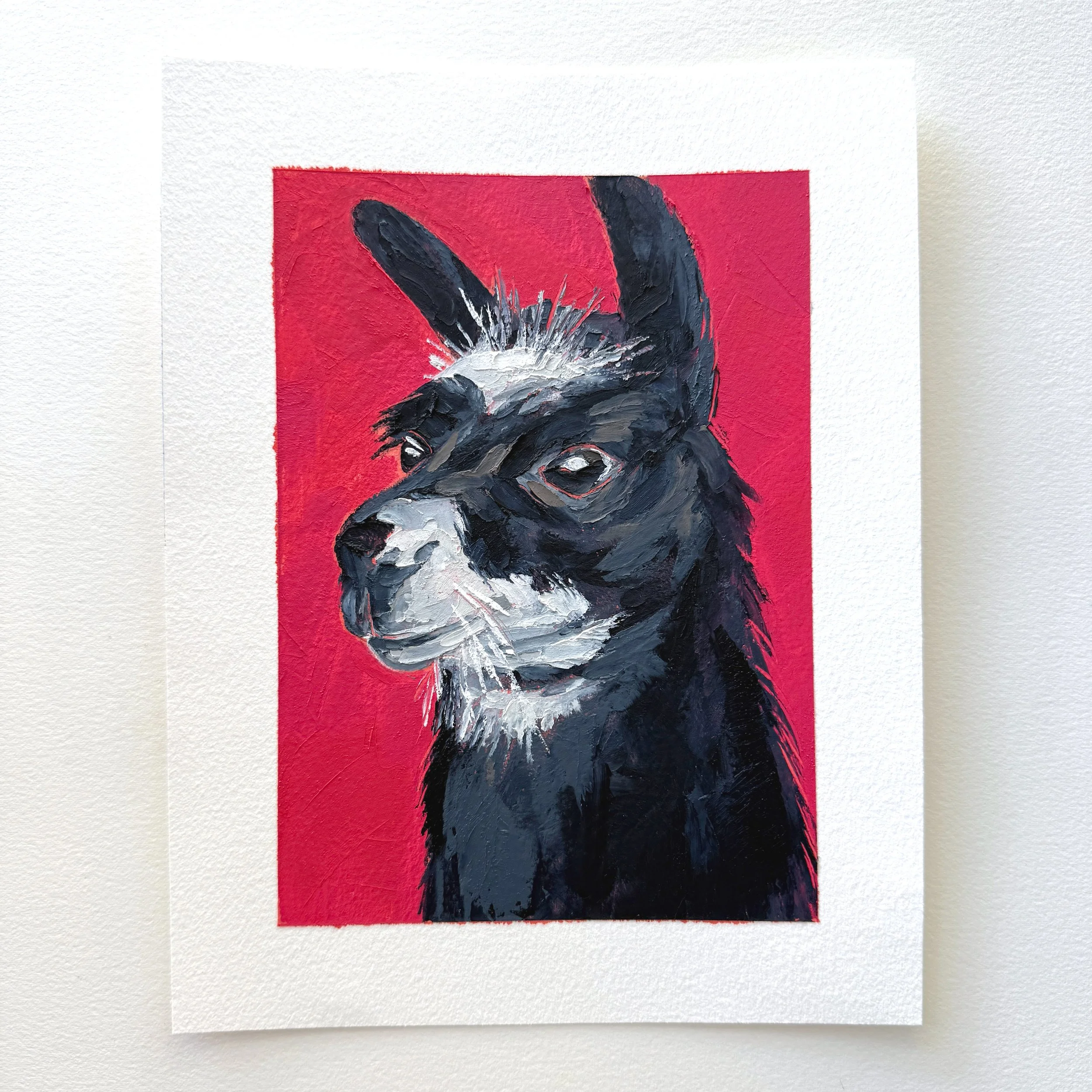 Llama.jpg