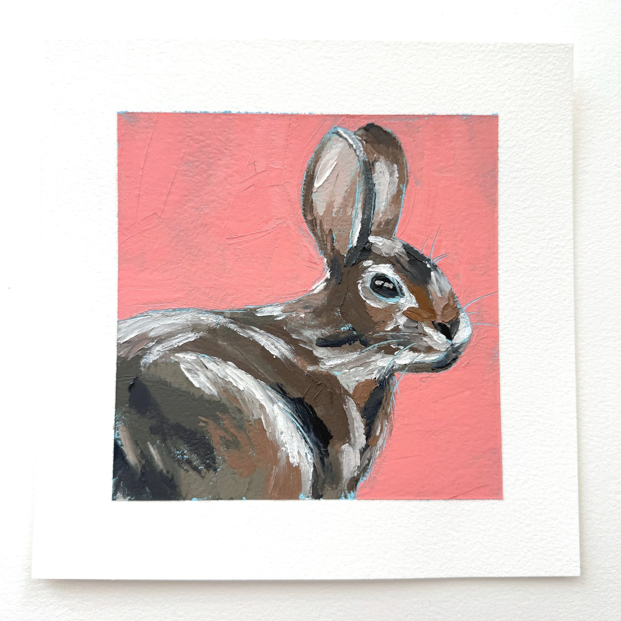 Bunny