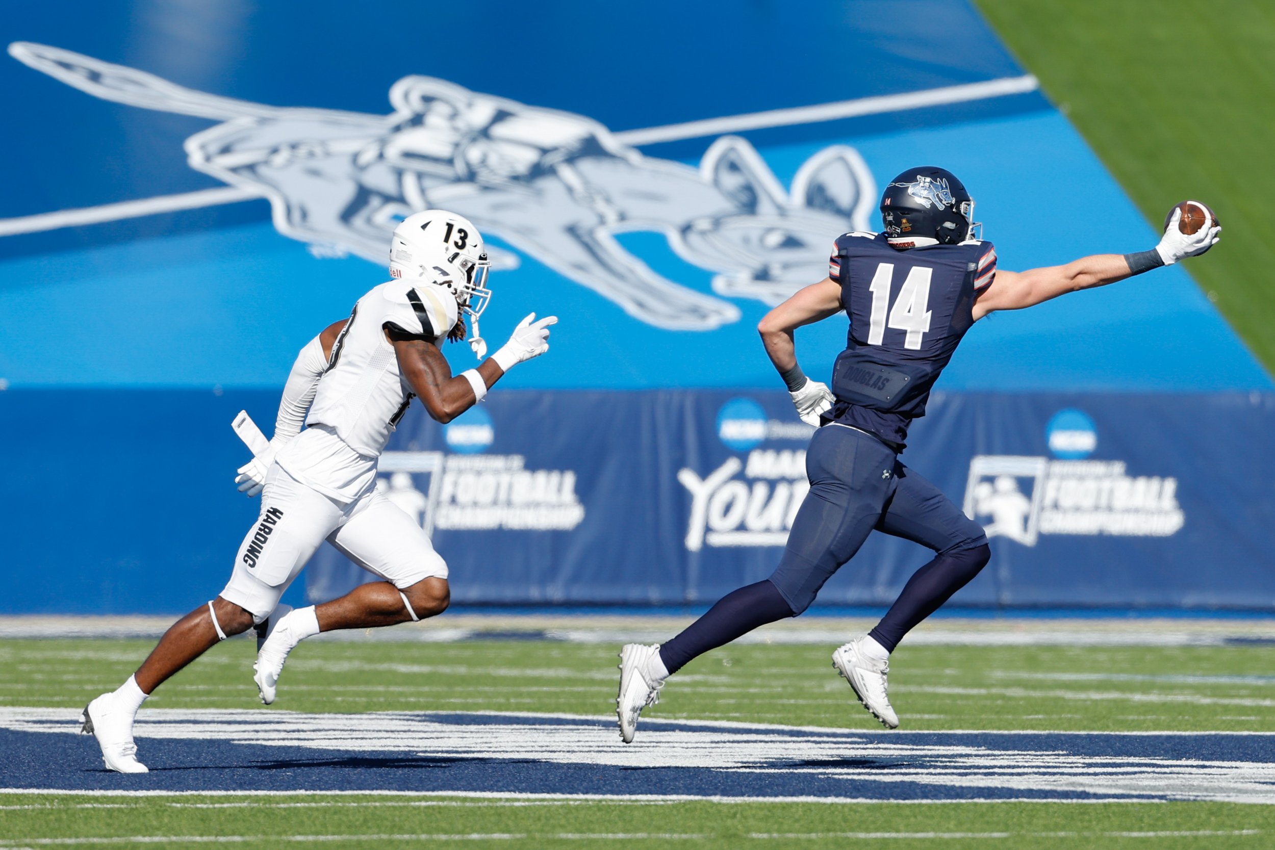  MCKINNEY, TEXAS - DECEMBER 16: Flynn Schiele #14 of Colorado School of Mines Orediggers makes a catch against the Harding Bisons during the Division II Football Championship held at McKinney ISD Stadium on December 16, 2023 in McKinney, Texas. (Phot