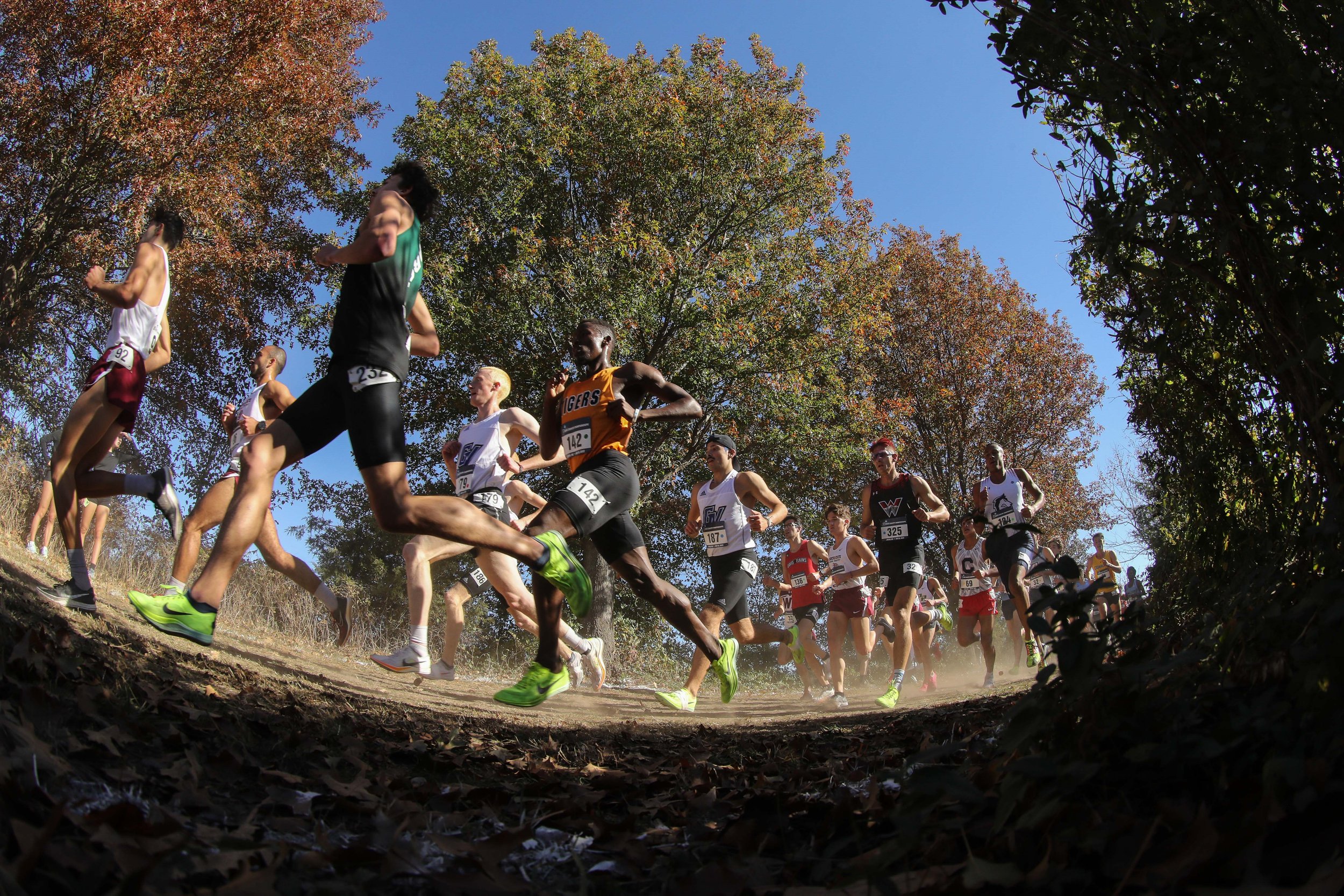  JOPLIN, MISSOURI - NOVEMBER 18: Athletes compete during the Division II Men's Cross Country Championship held at Tom Rutledge Cross Country Course on November 18, 2023 in Joplin, Missouri. (Photo by Tyler Schank/NCAA Photos via Getty Images) 