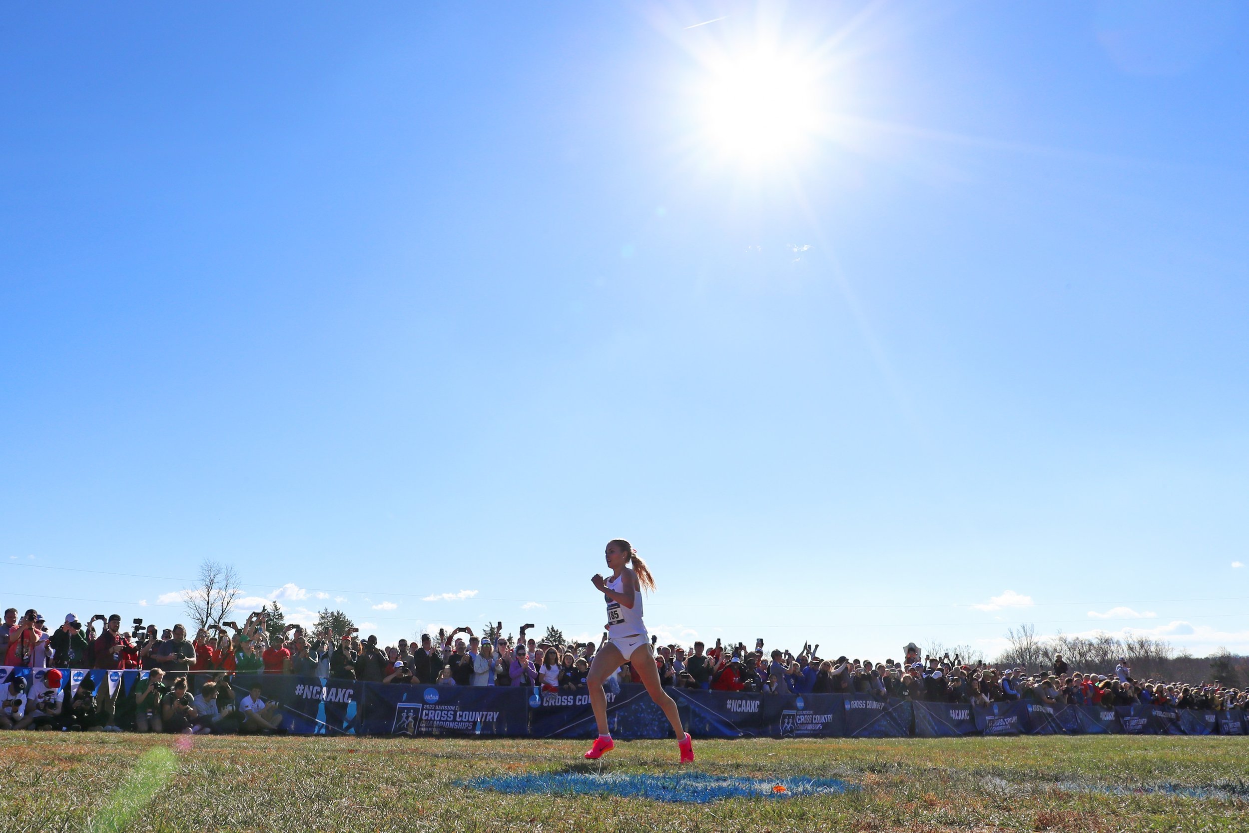  EARLYSVILLE, VIRGINIA - NOVEMBER 18: Parker Valby of the Florida Gators races to a first place finish during the Division I Men’s and Women’s Cross Country Championship held at Panorama Farms on November 18, 2023 in Earlysville, Virginia. (Photo by 