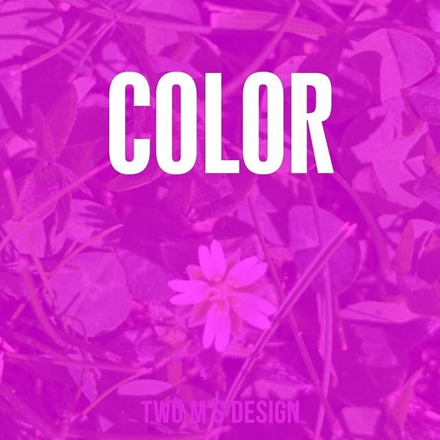 #twomsdesign #color #quarantine #graphicdesign #webdesign #uxdesign