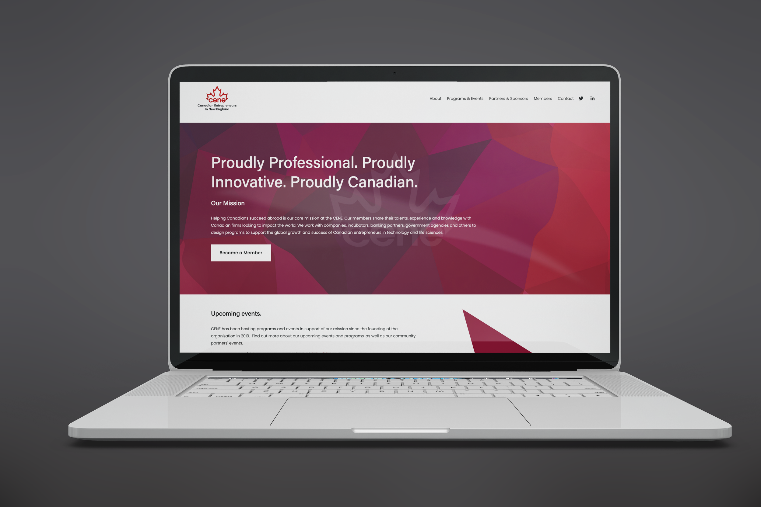 cene_website_mockup.png