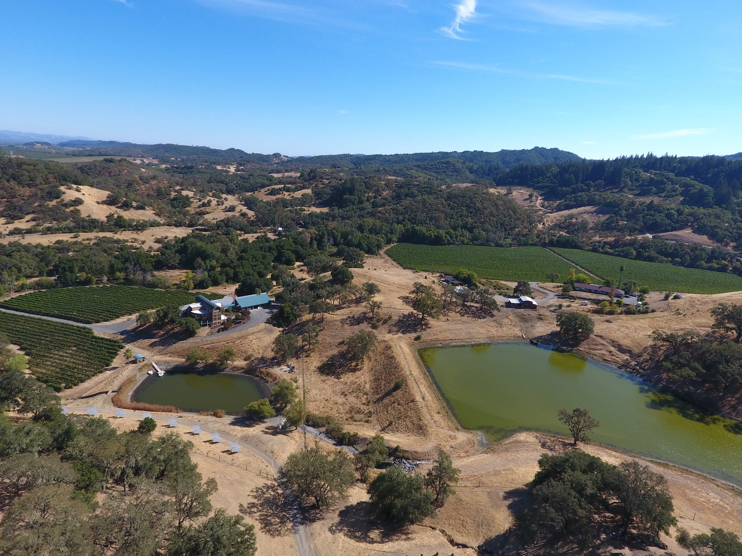 DJI_0010.JPG