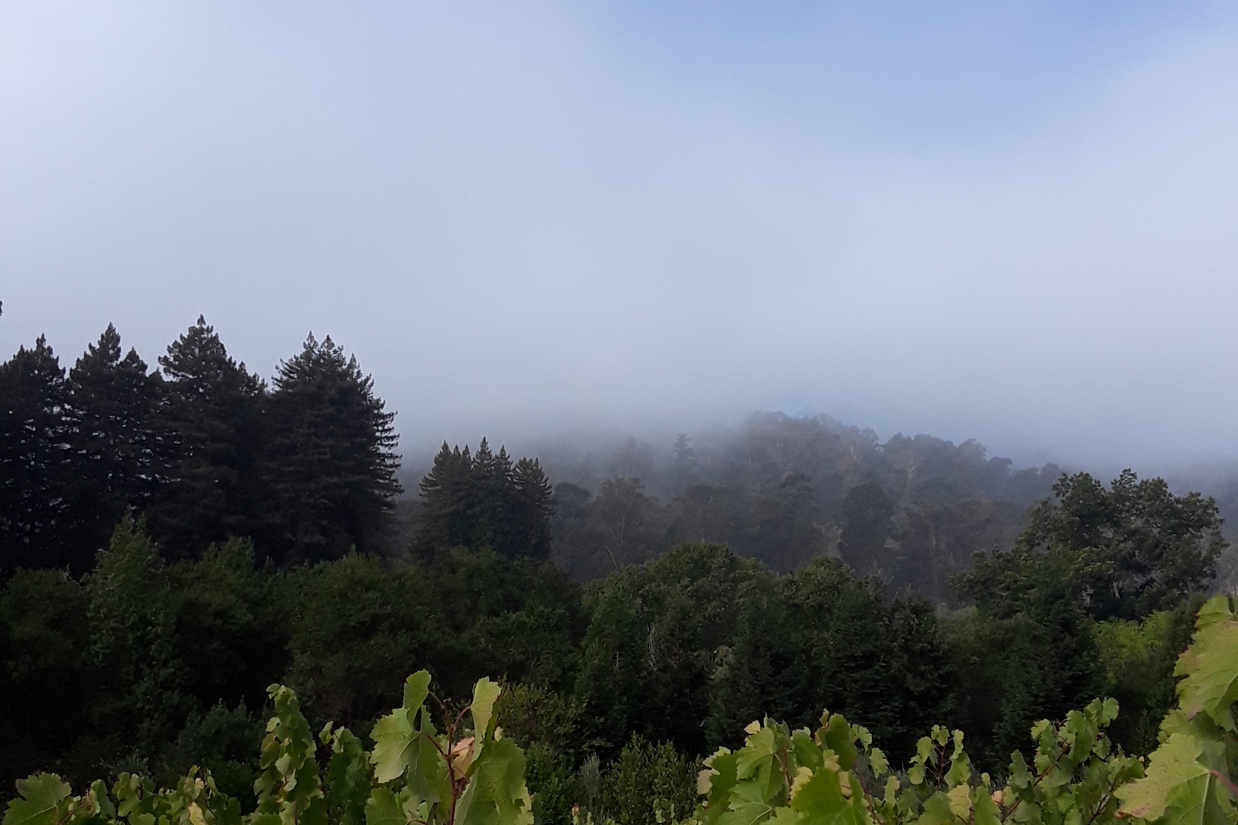 20180922_092330.jpg