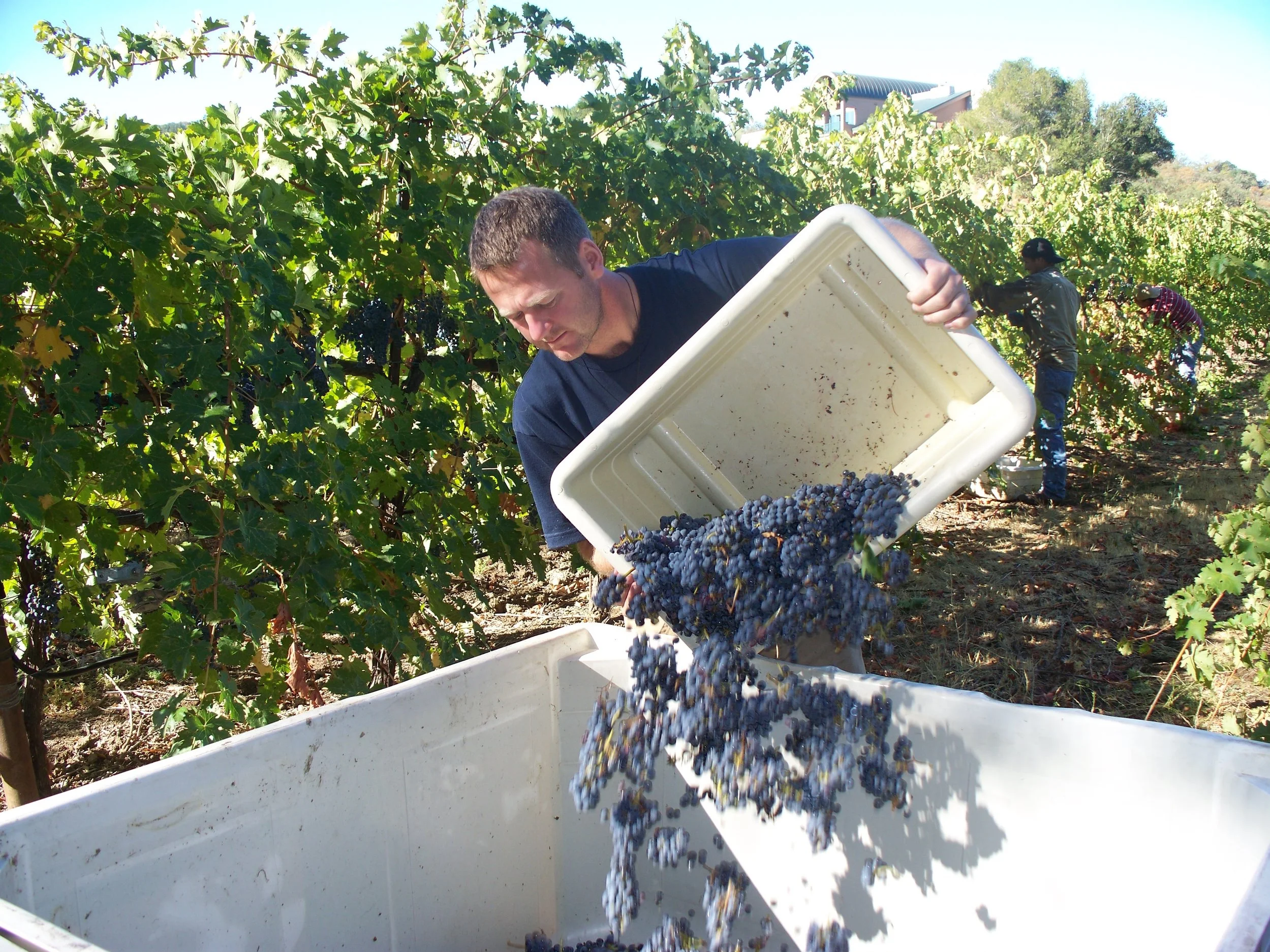 Harvest+08+011.jpg