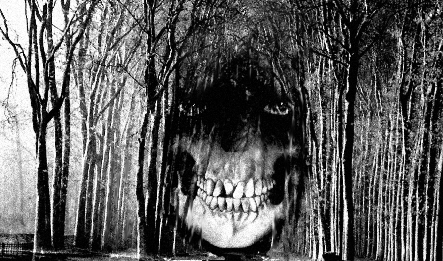 John Dubin Haunted Forest