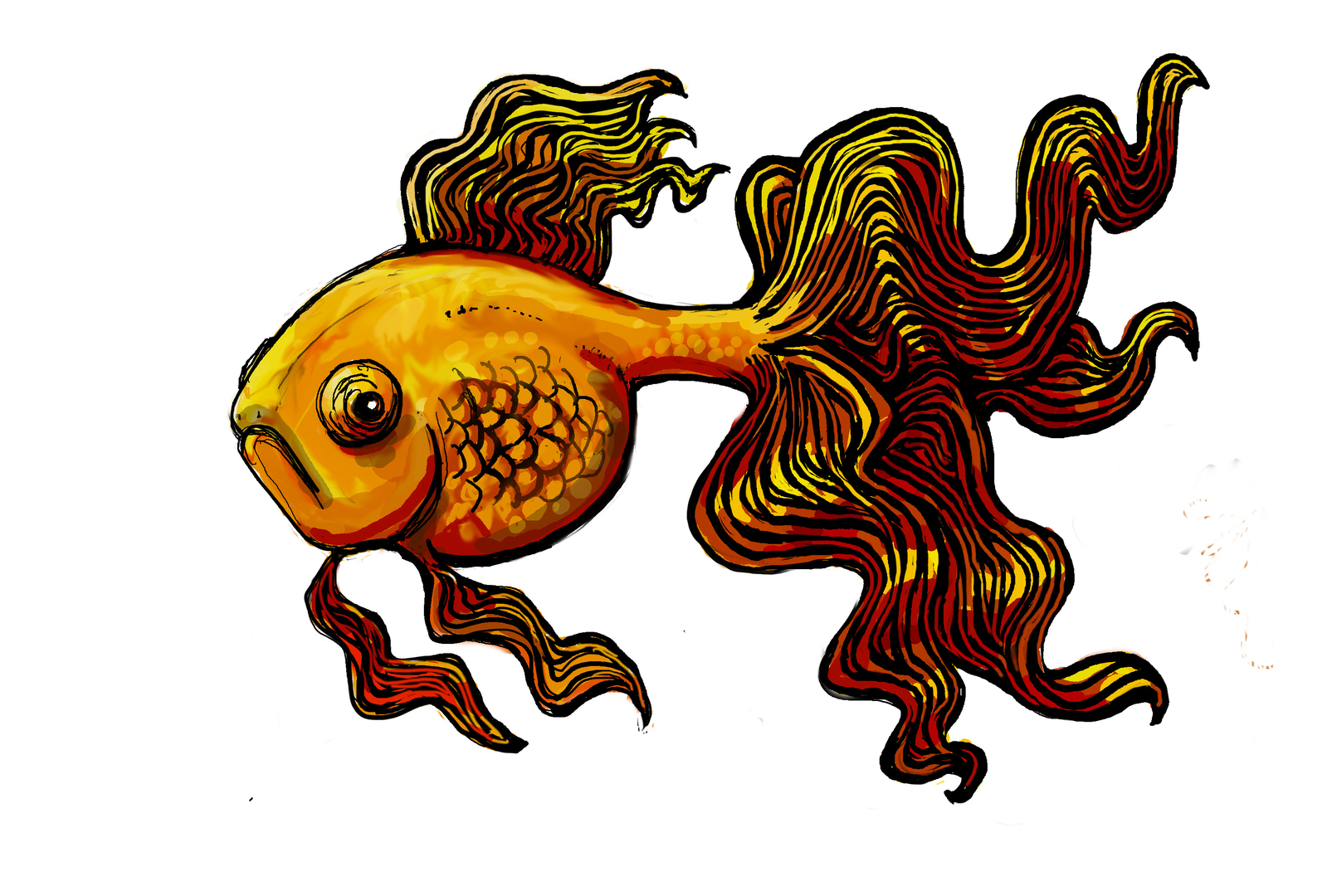 John Dubin Gold fish