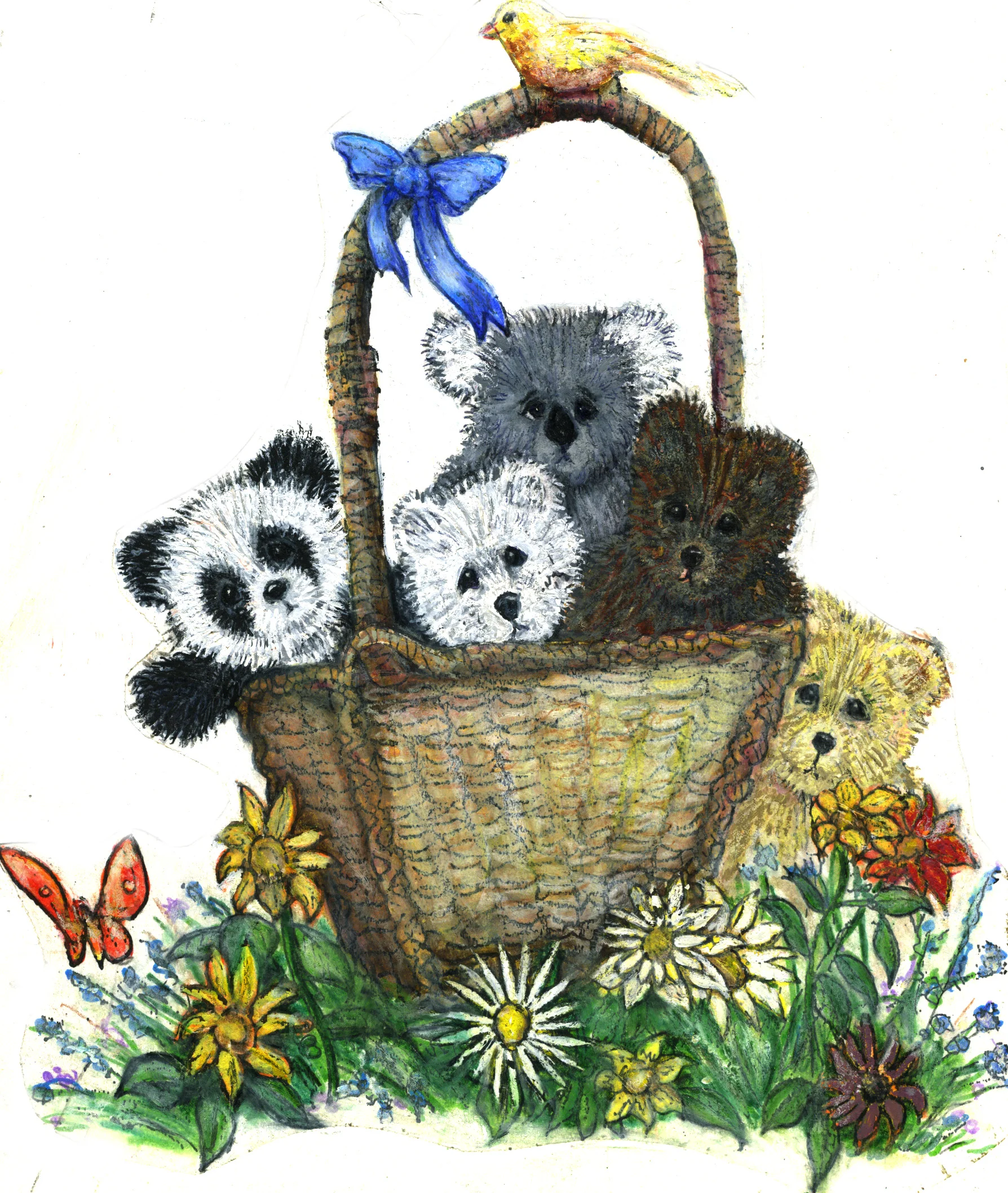 John Dubin Baby Bears