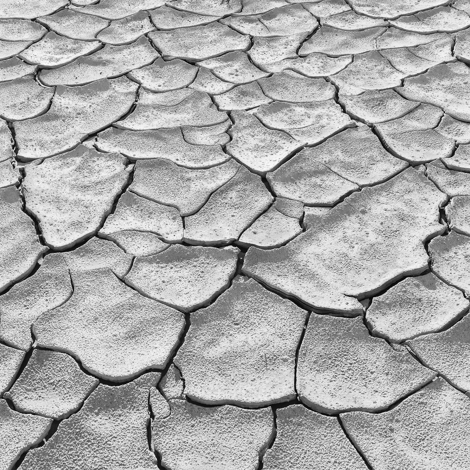 Desert Floor