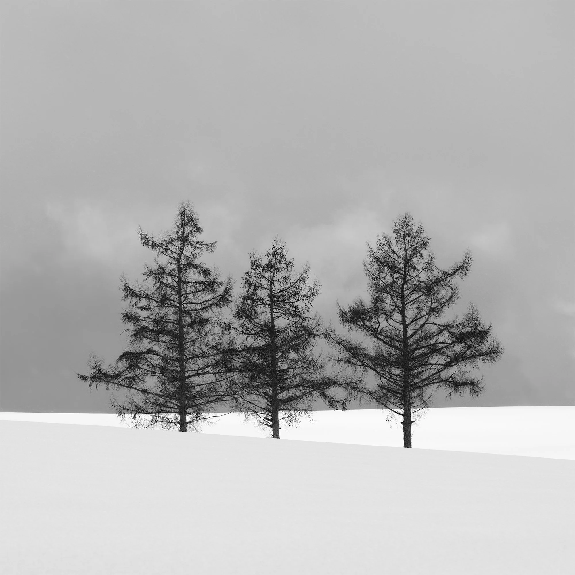 Hokkaido 