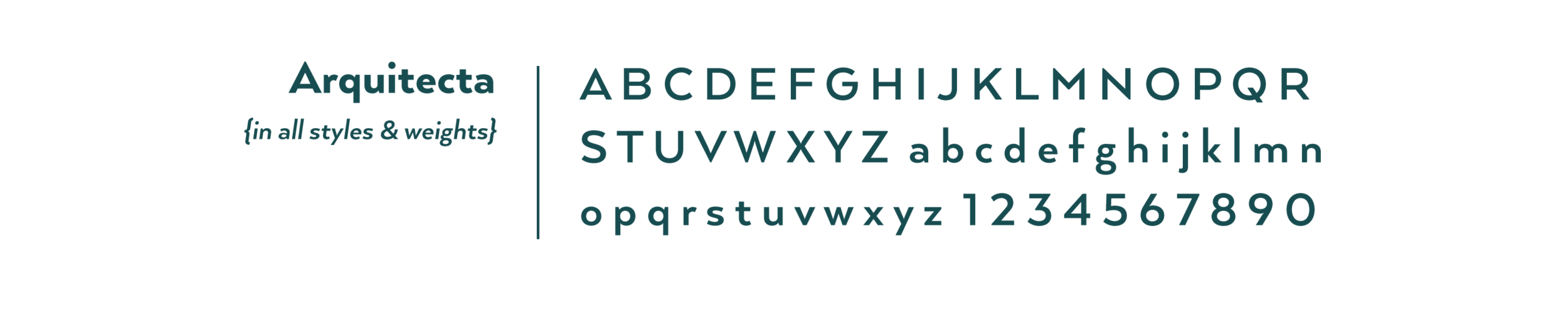 T&M_Font.png