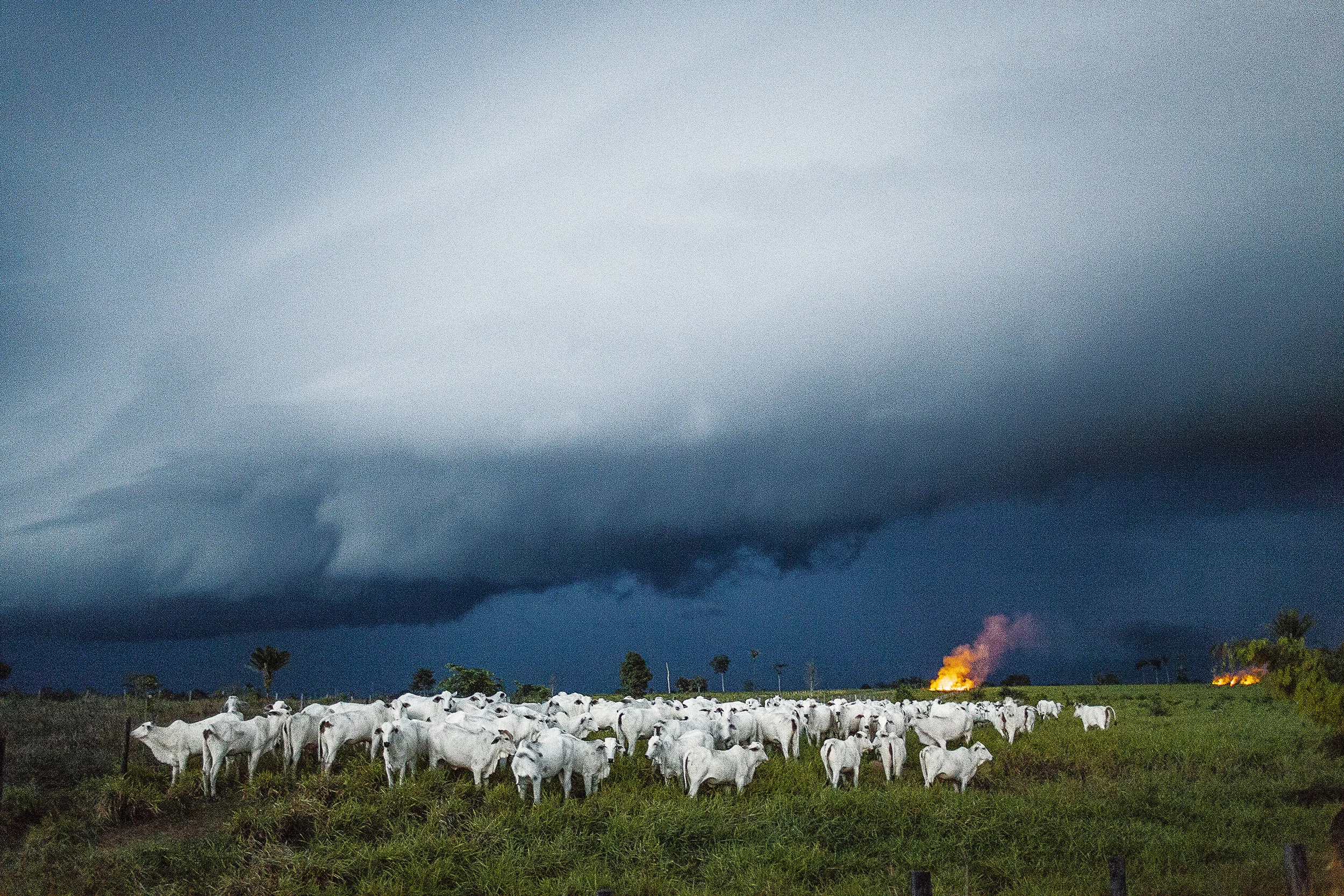 LRTristes Tropiques_025.jpg