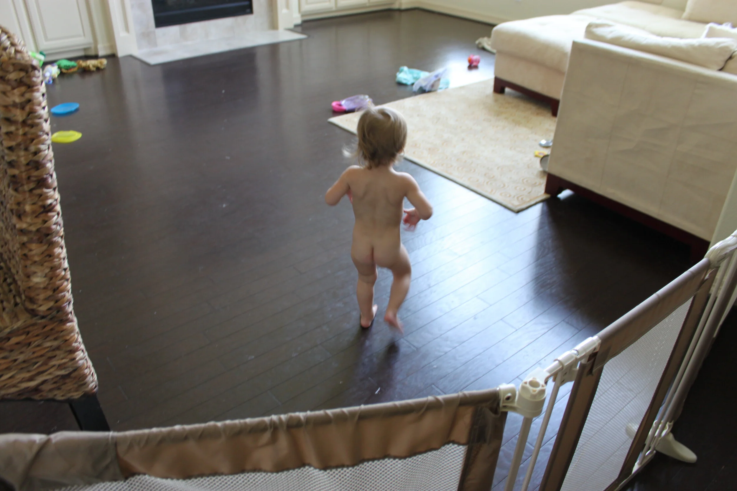 Time to Potty Train?