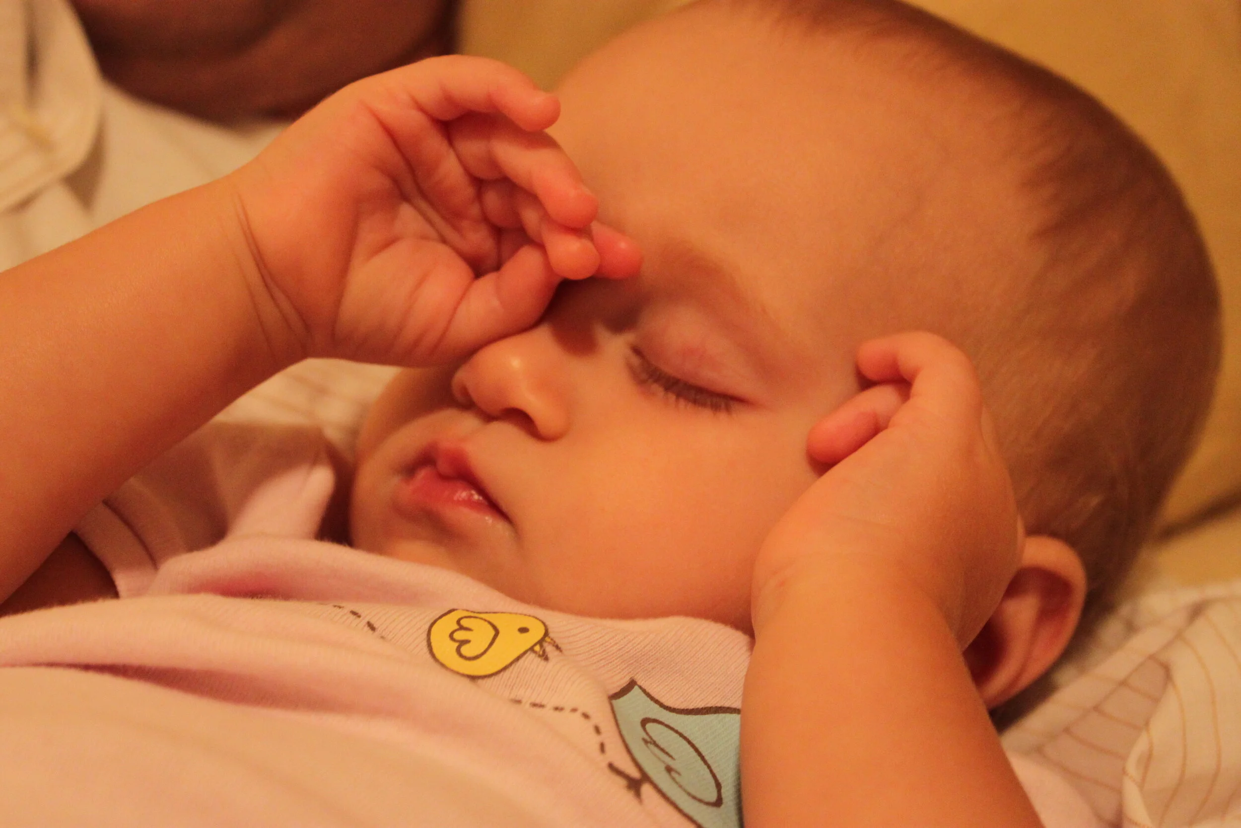 All These Activities Make Me Sleepy…