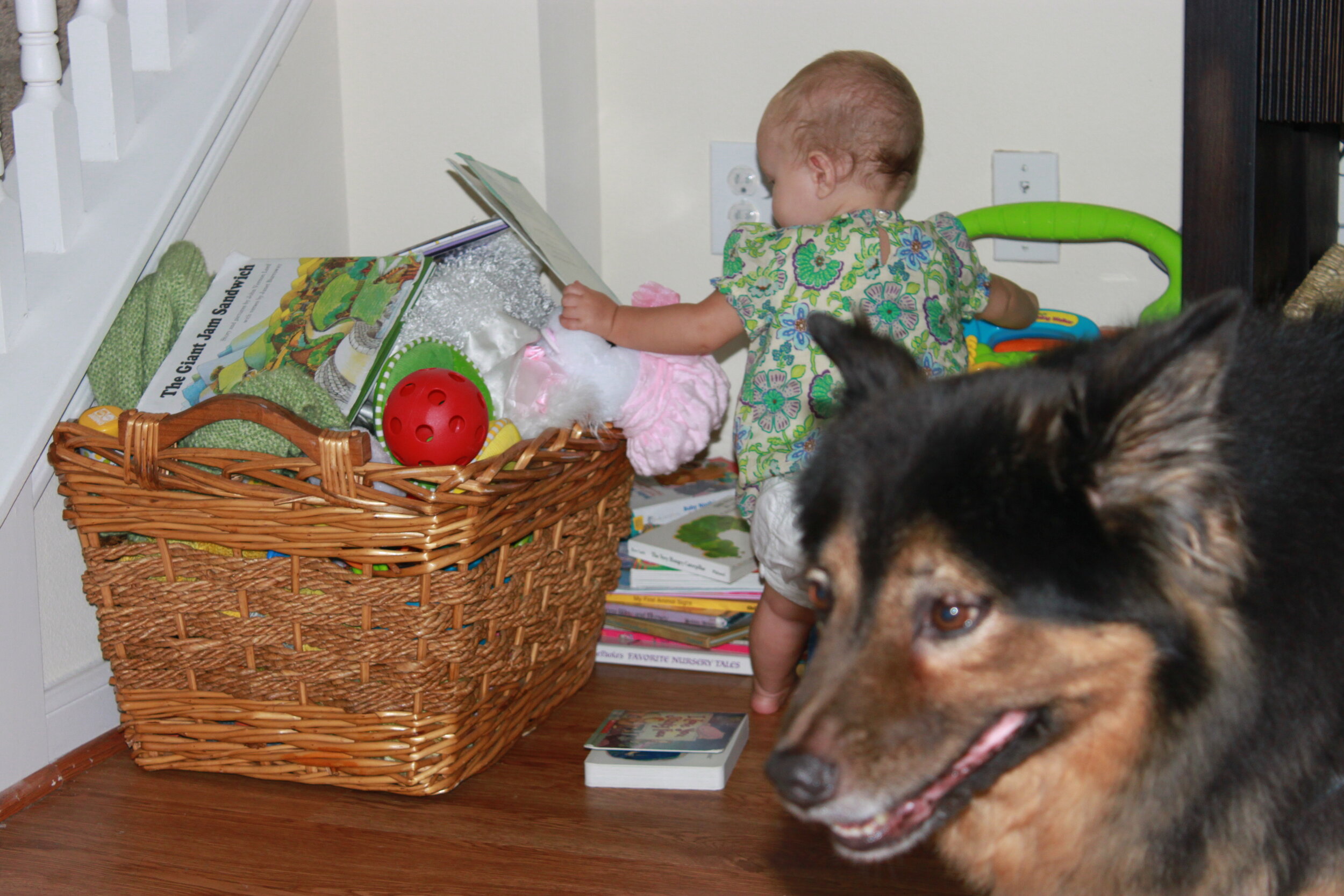 Isla and Teddy = Best Buds
