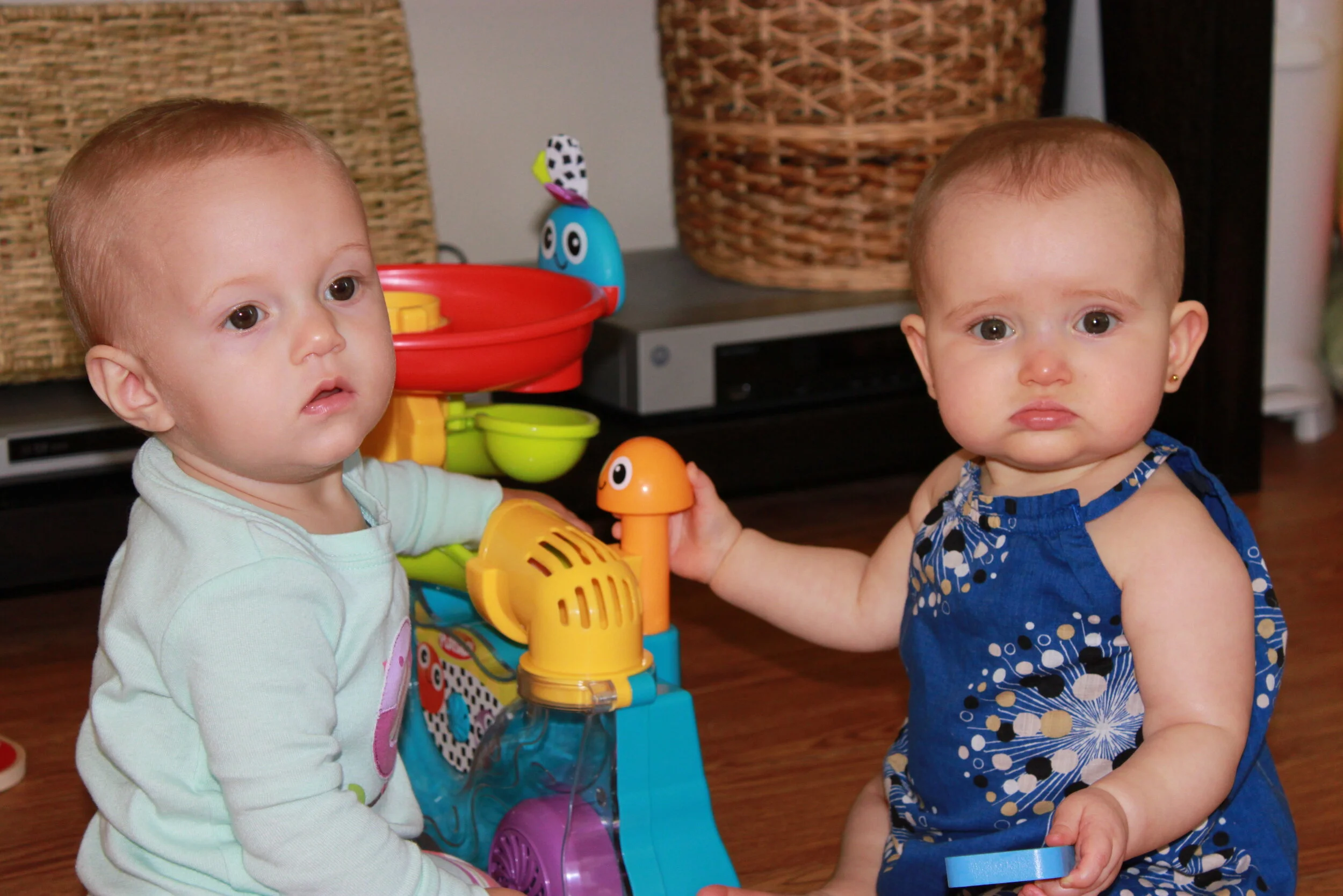 Play Date with Shiloh