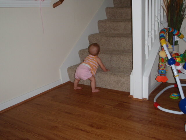 Our Little Mover