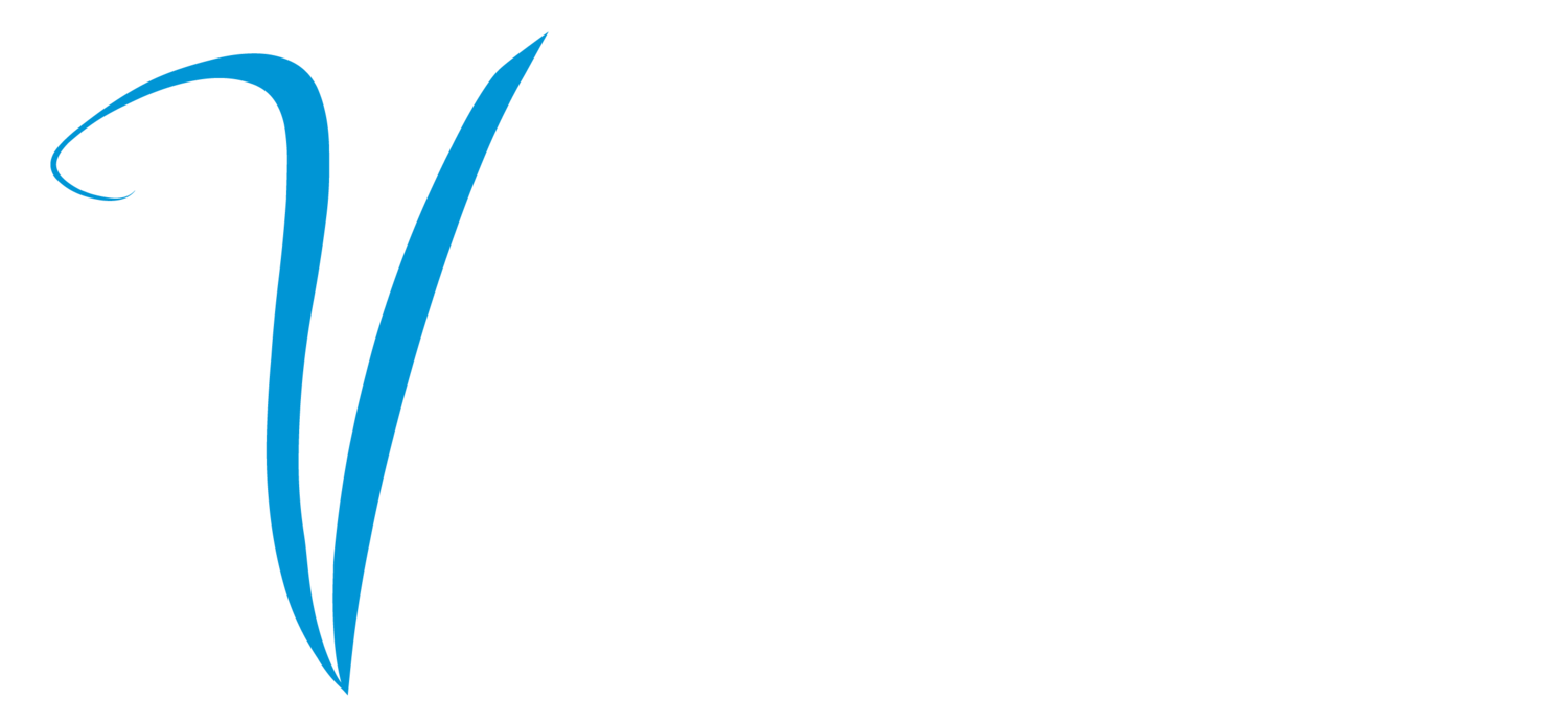 Veritas Inspection Group