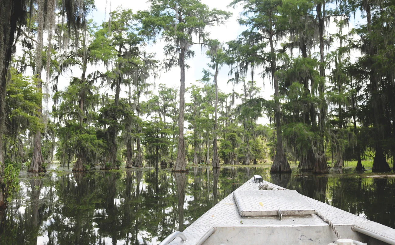 louisiana.jpg