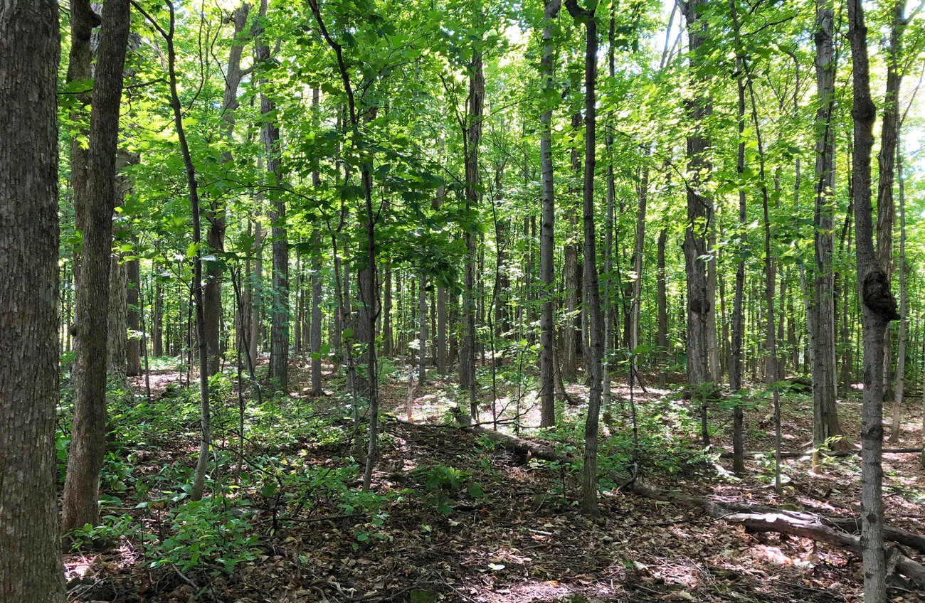 cap-hike.jpg