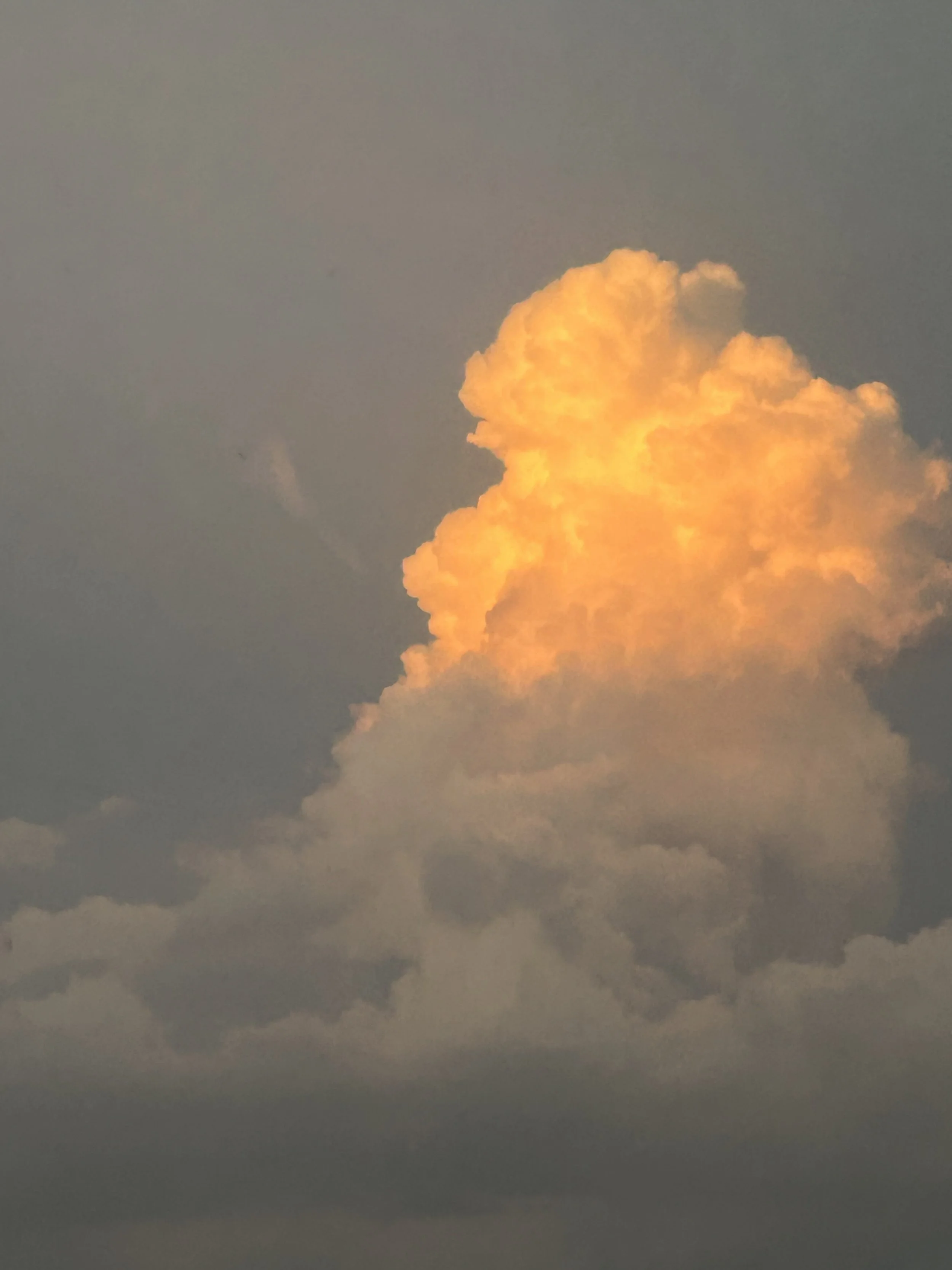 A golden hue over a blue sky with a big fluffy cloud given a golden hue by the sun's light