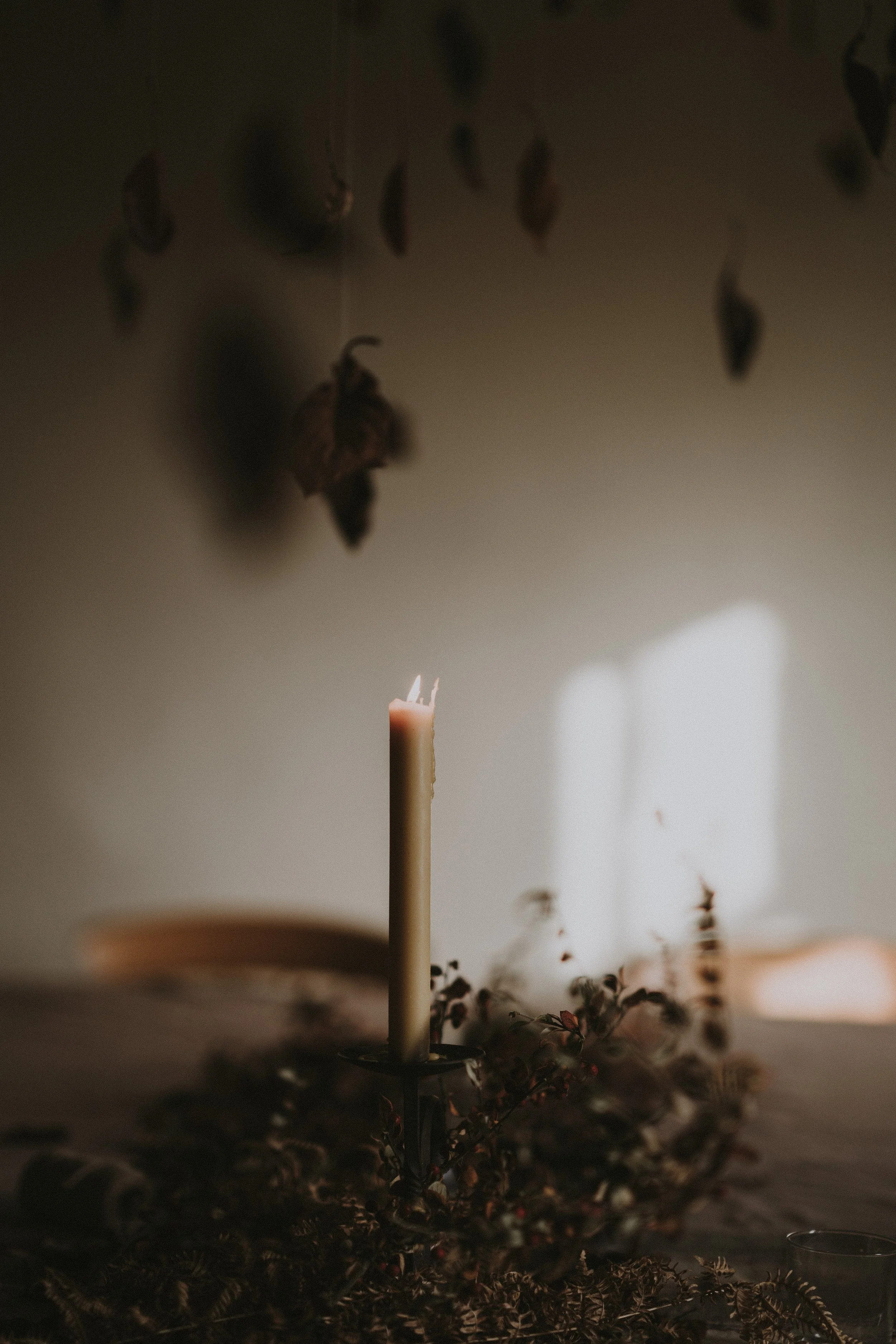 The foreground has a natural colored beeswax taper candle burning with dried plants and leaves around it on a wooden dining table that's blurred in the background. A living altar, a devotion, a bit of everyday magic. Very Virgo.