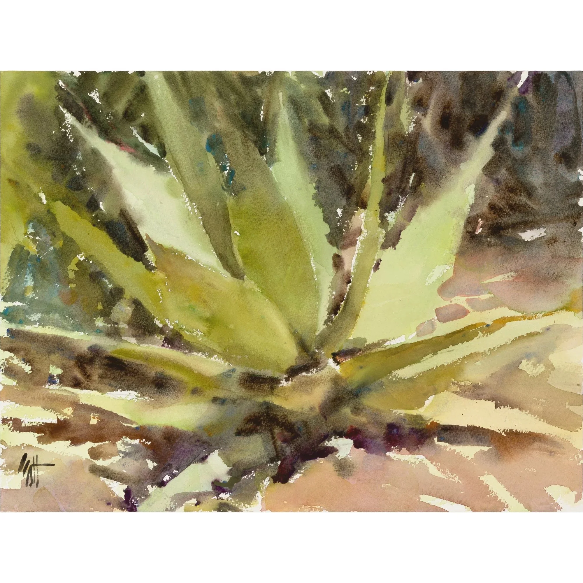 succulent.jpg