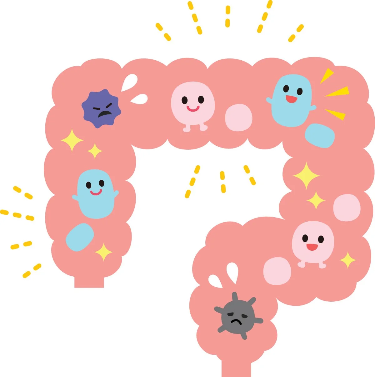 So What's the Deal With Probiotics?