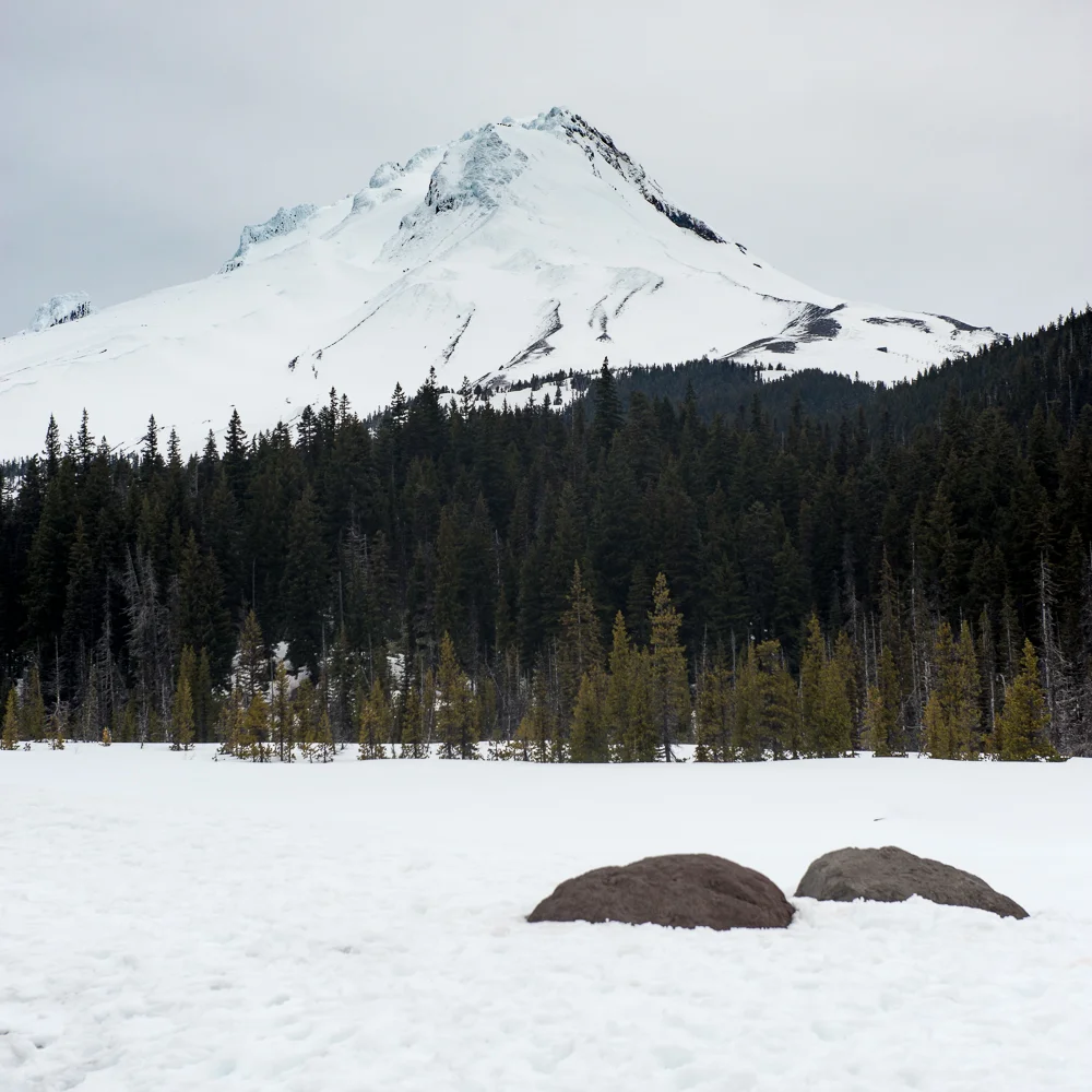 Mt-Hood-OR_Desolate-Wind_Light-Birds.jpg