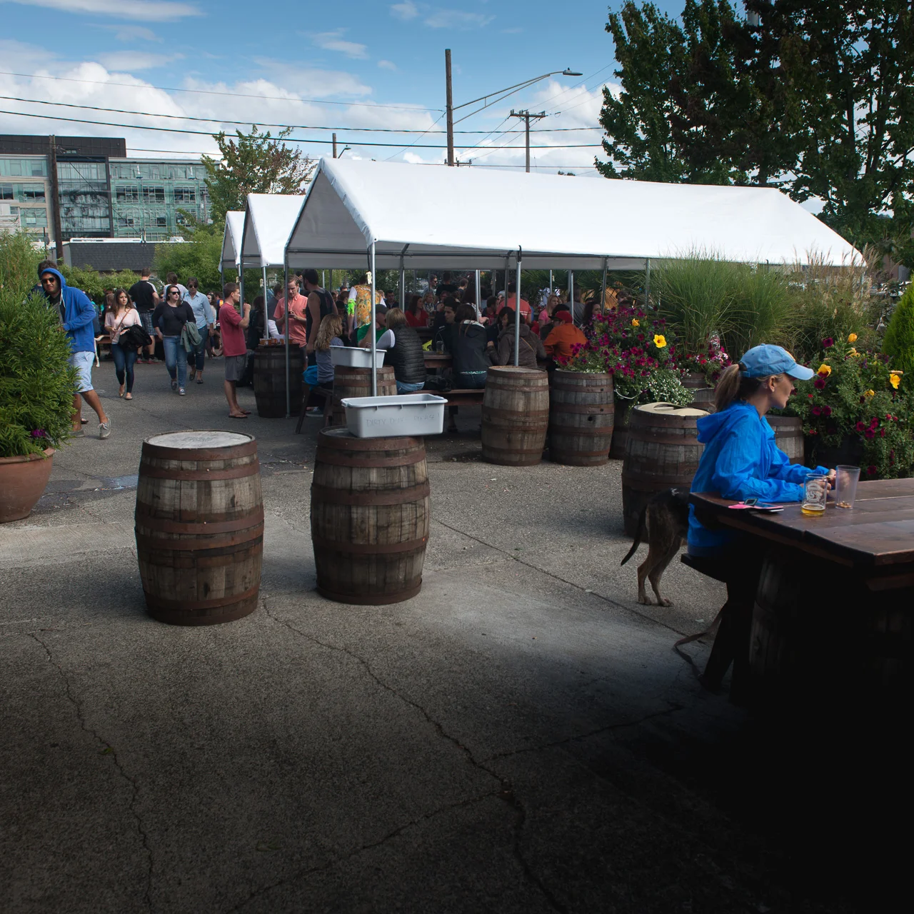 Busy-OutdoorBar.jpg