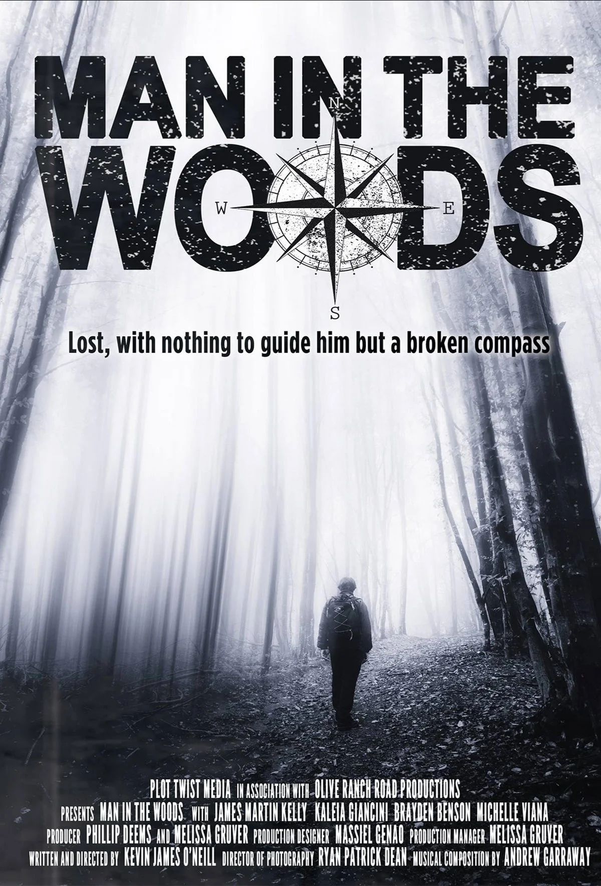 Man In The Woods Movie Poster