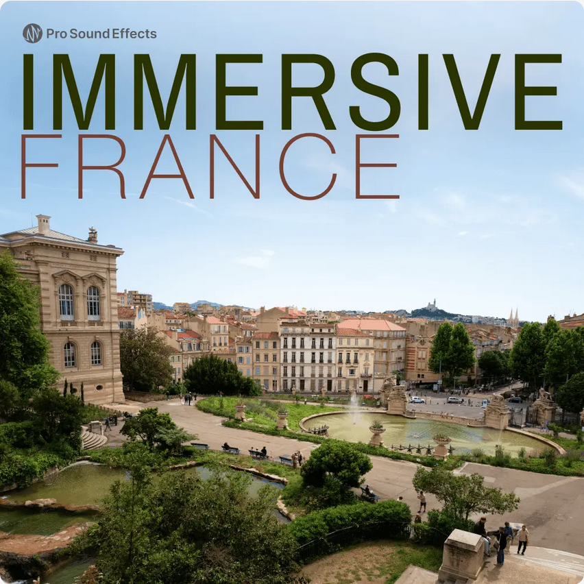 Blackguard Sound Immersive France Library Art