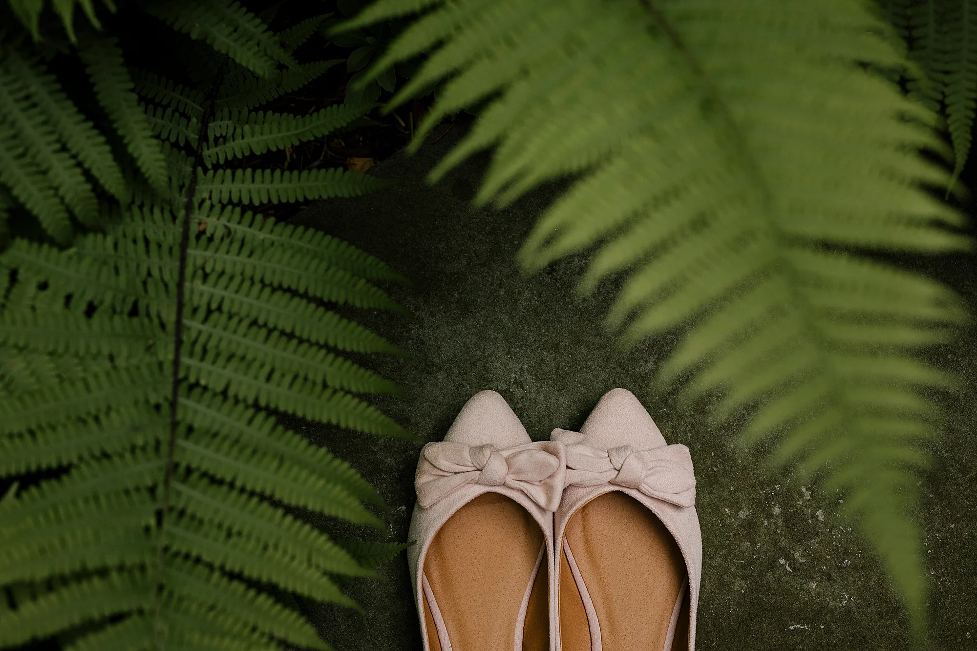 Love_by_Joe_Mac_West_Chester_Wedding_Faunbrook_Bed_and_Breakfast_Photography_0026.jpg