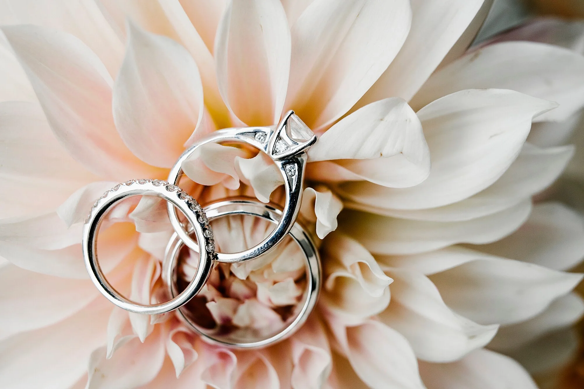 Love_by_Joe_Mac_Philadelphia_Wedding_Gay_LGBT_photography_The_Gables_At_Chadds_Ford_0003.jpg