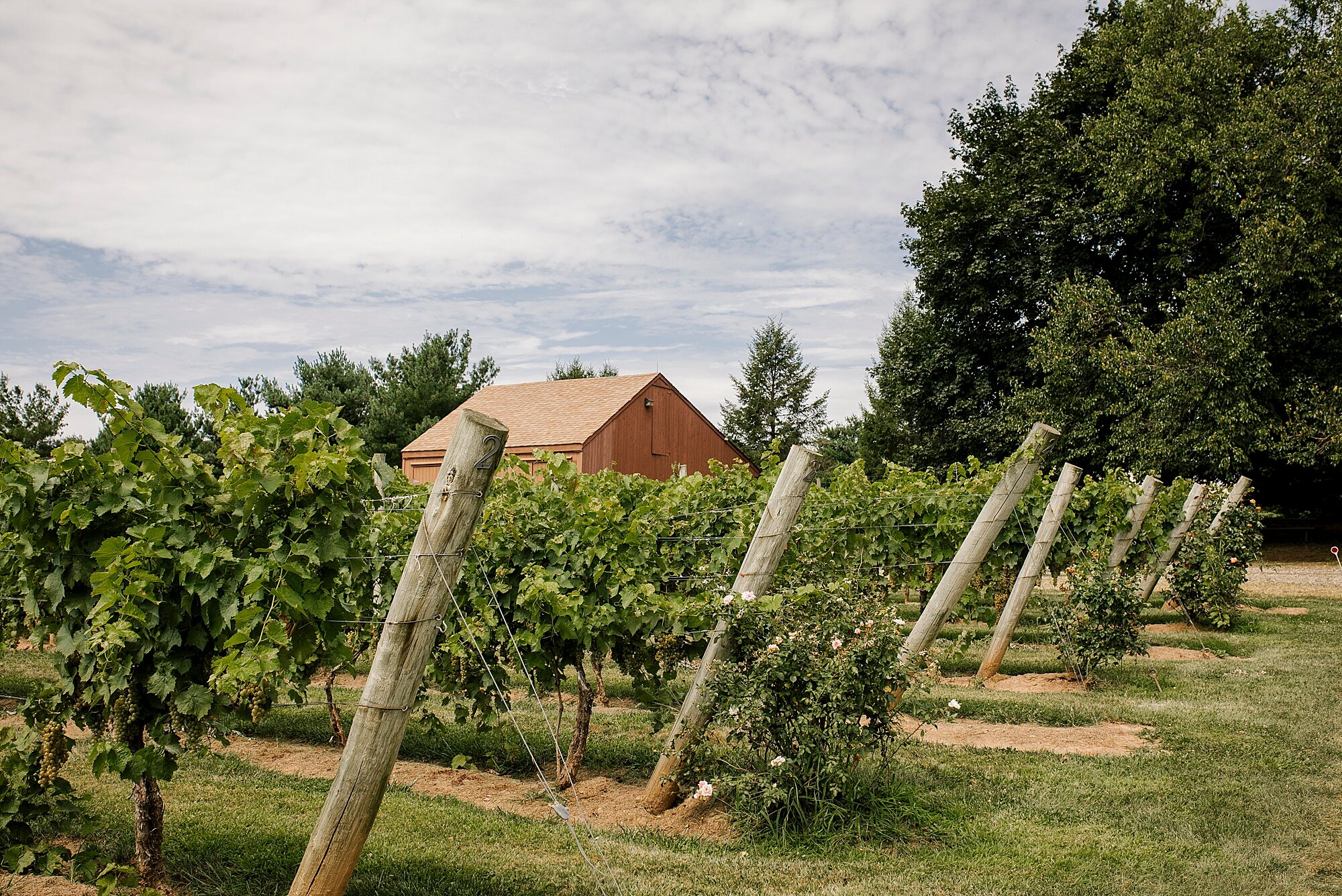 01_Love_by_Joe_Mac_Philadelphia_Wedding_Gay_LGBT_photography_Crossing_Vinyard_PA__0049.jpg