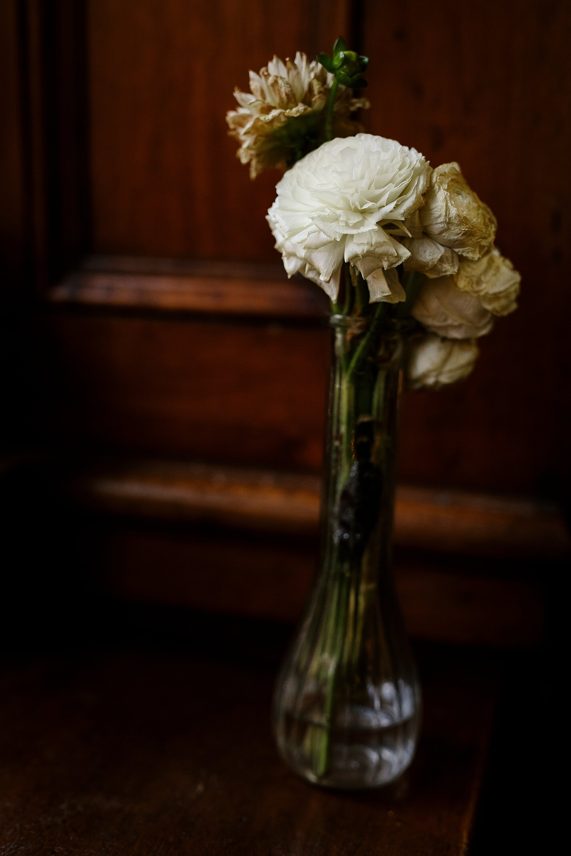 Love_by_Joe_mac_best_Philadelphia_Wedding_Photography_The_Olde_Bar_Bookbinders_18th_Century_Gardens_Old_St_Josephs_Church___0206.jpg