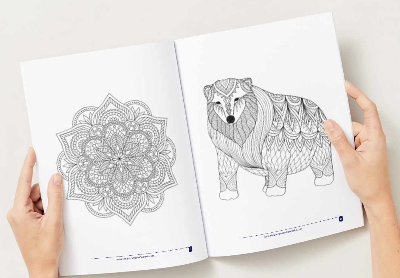 Screenshot 2026-02-18 at 2.29.08 PM.png