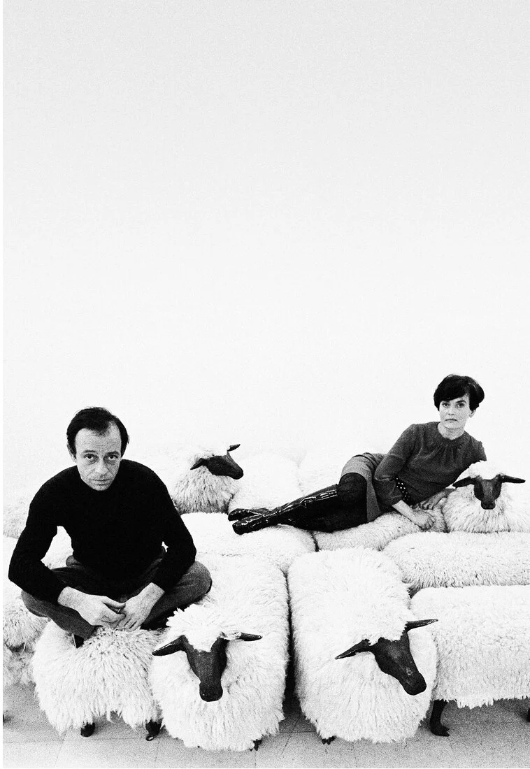 WTF--What the Flock?! — Catherine Jordan Design