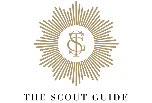 Scout Guide logo@2x.png